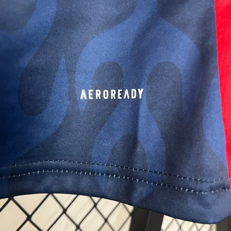 Japan Special Edition Soccer Jersey