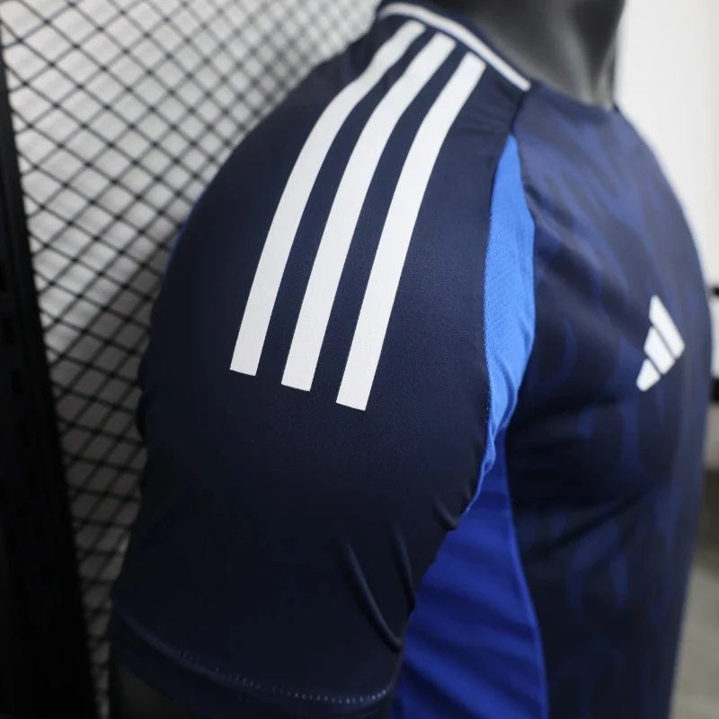 Player Version Japan Soccer Jersey