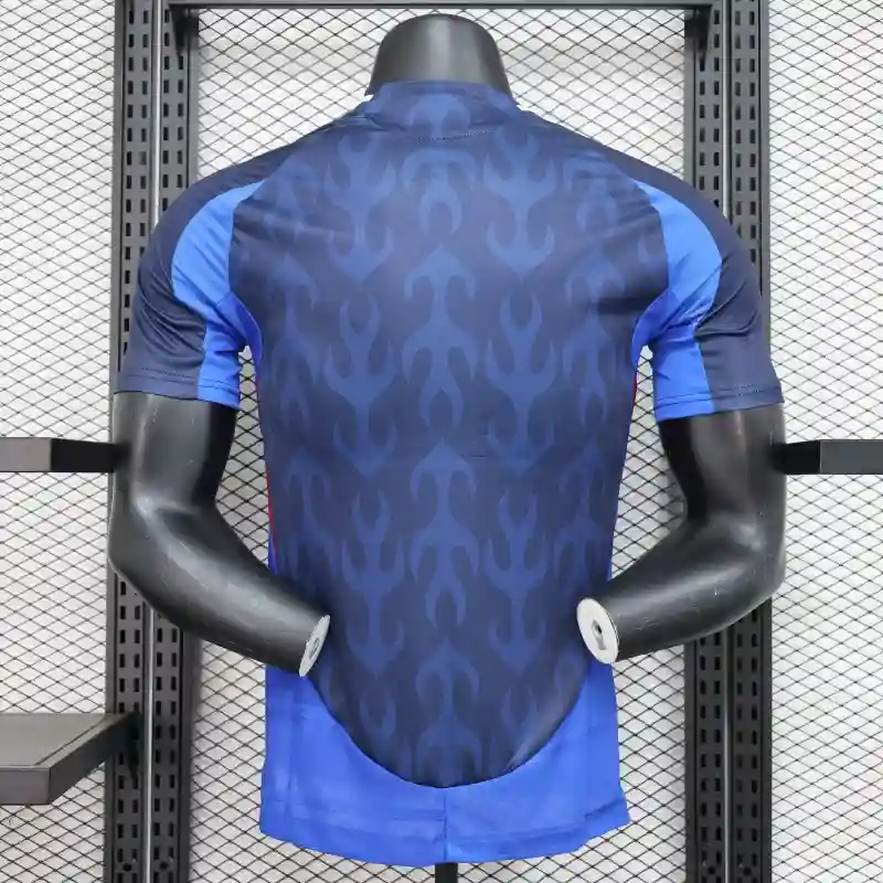 Player Version Japan Soccer Jersey