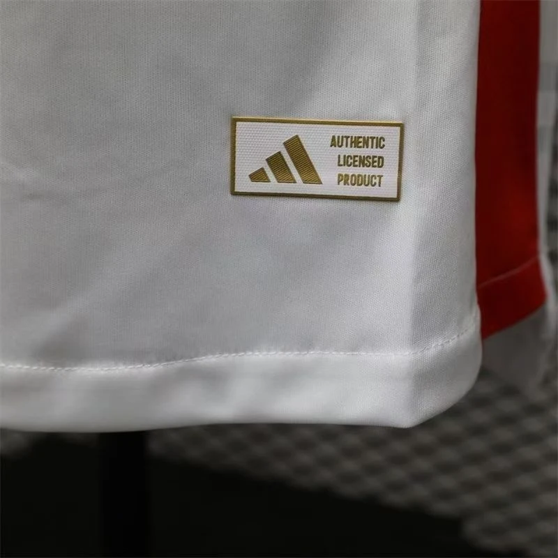 Player Version Japan Long Sleeve Soccer Jersey Away