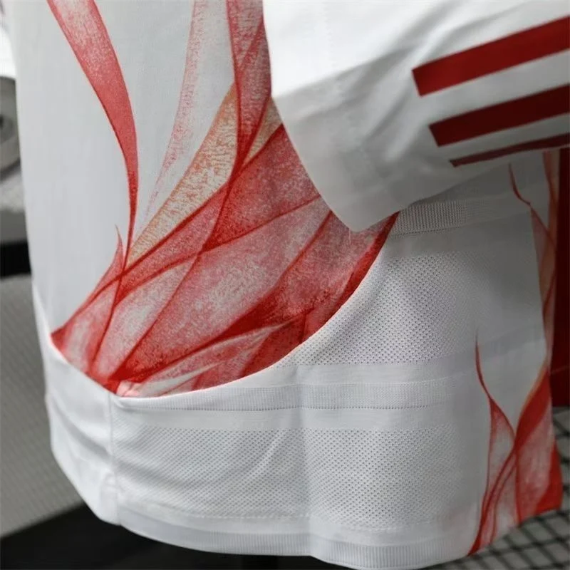 Player Version Japan Long Sleeve Soccer Jersey Away